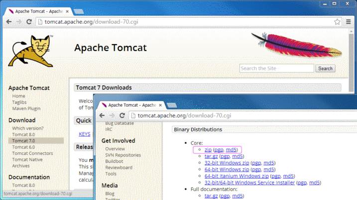 Tomcat download