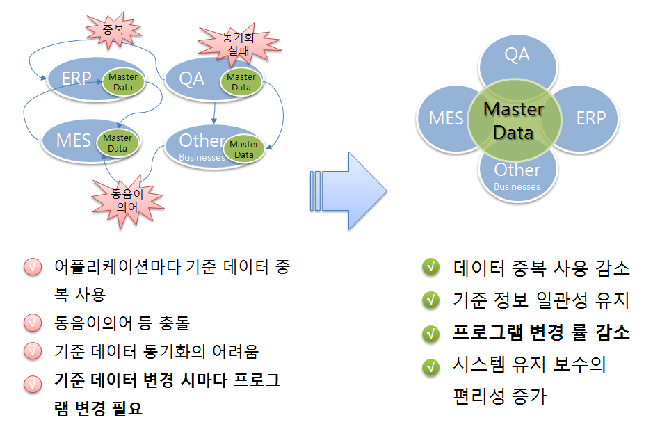 Master Data Management Solution